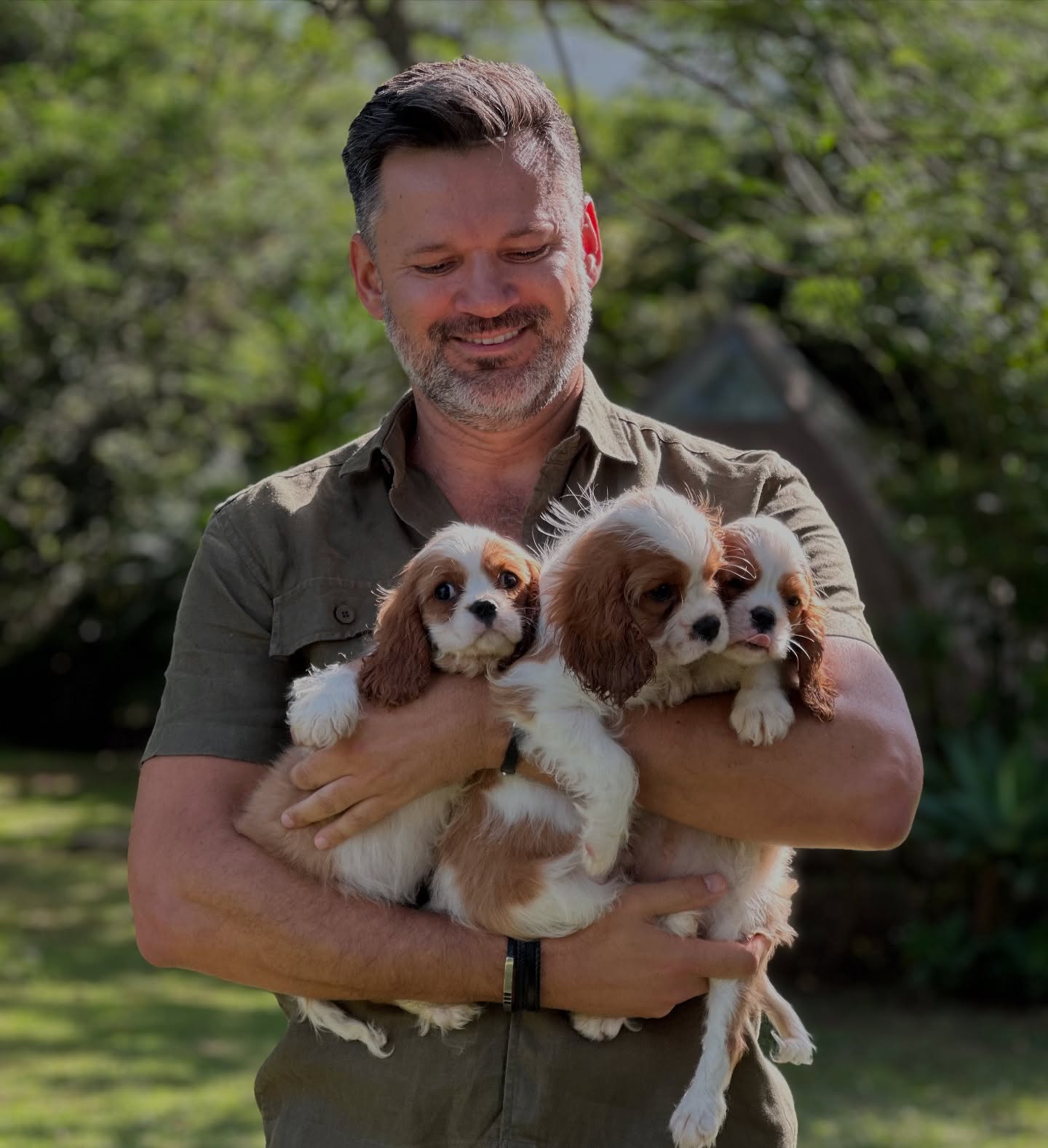 cavalier-king-charles-spaniel-chateau-jodinis-30