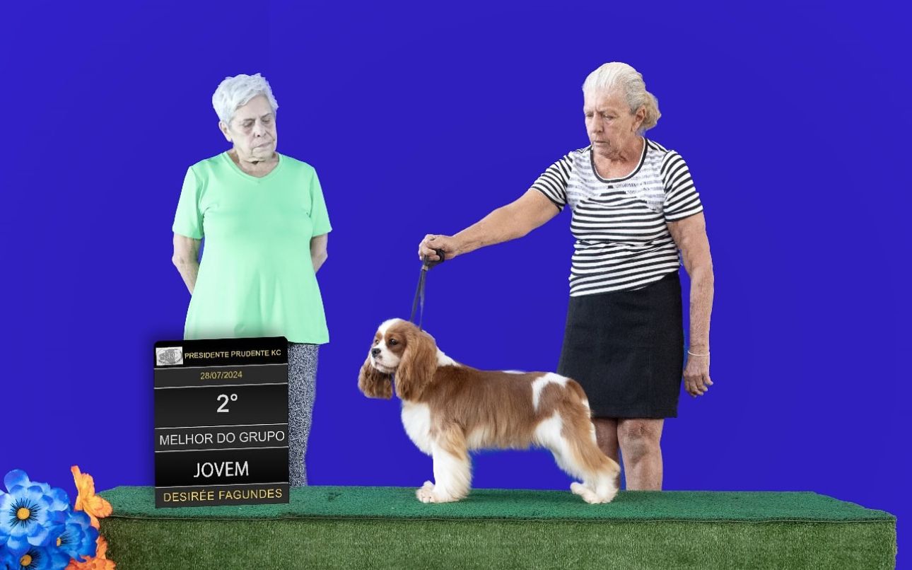 Artur Chateau Jodinis