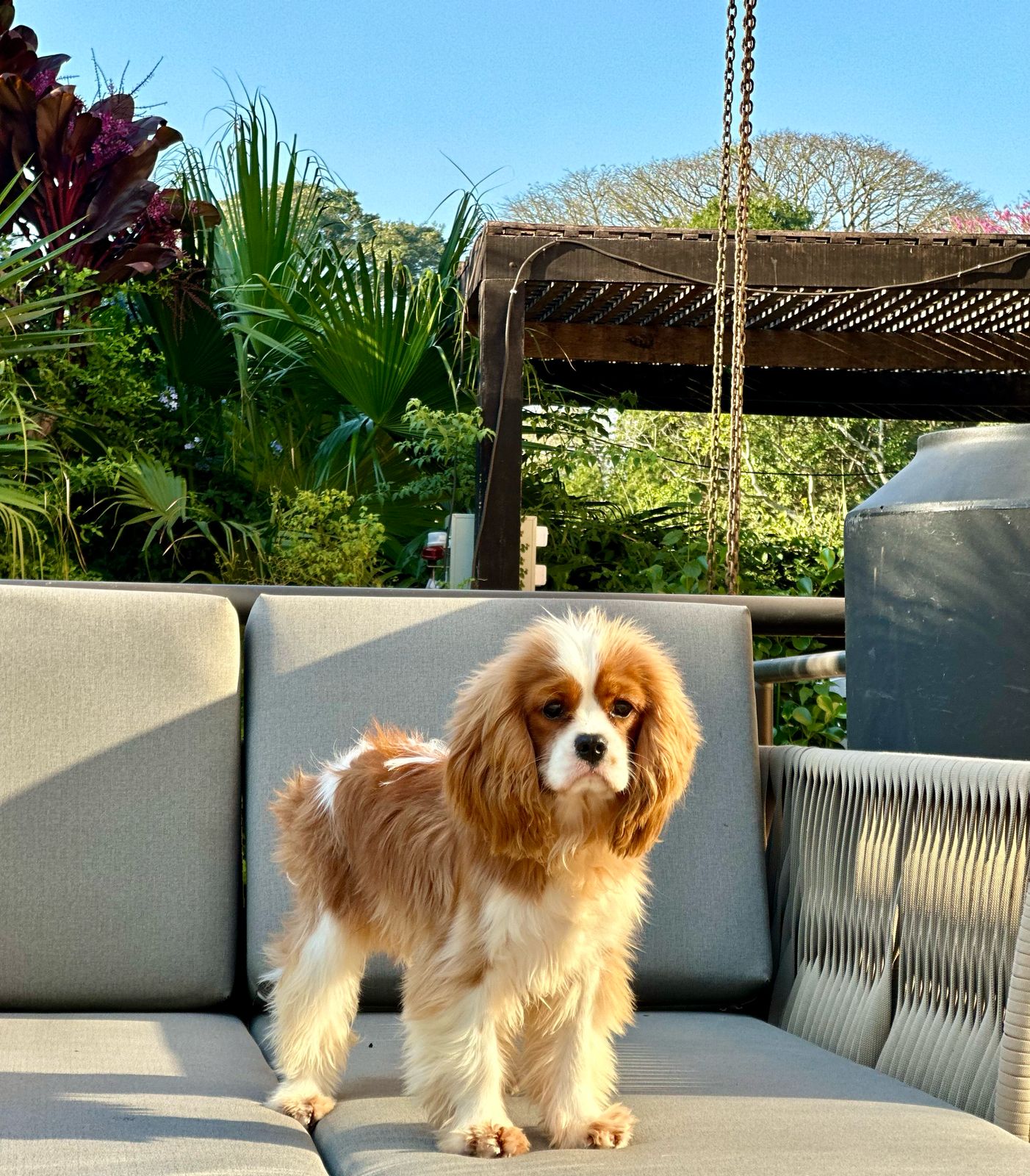 Artur Chateau Jodinis