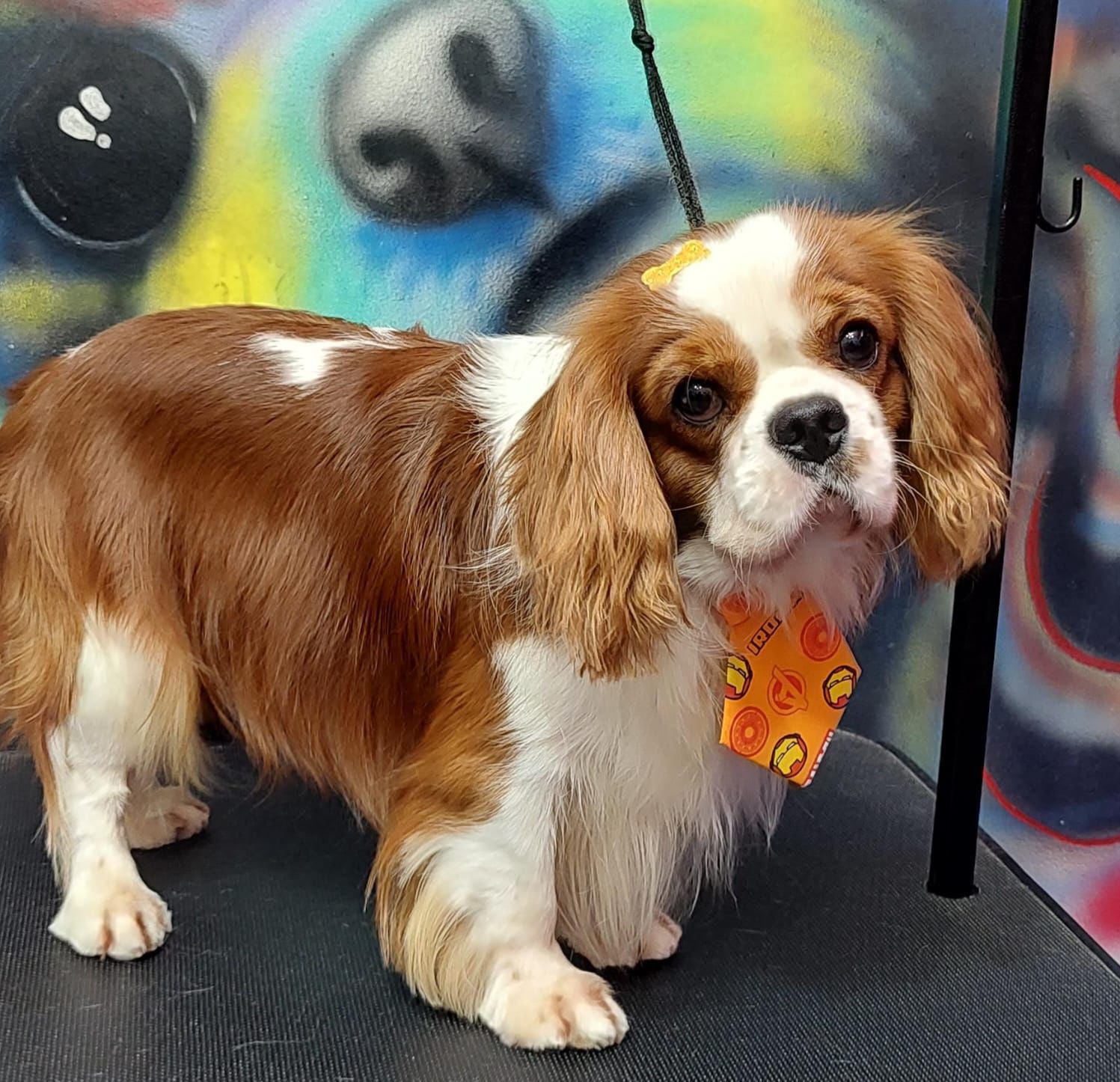 Vivere In Amore Serkan