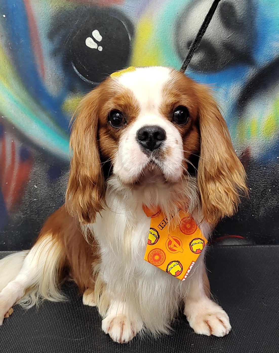 Vivere In Amore Serkan