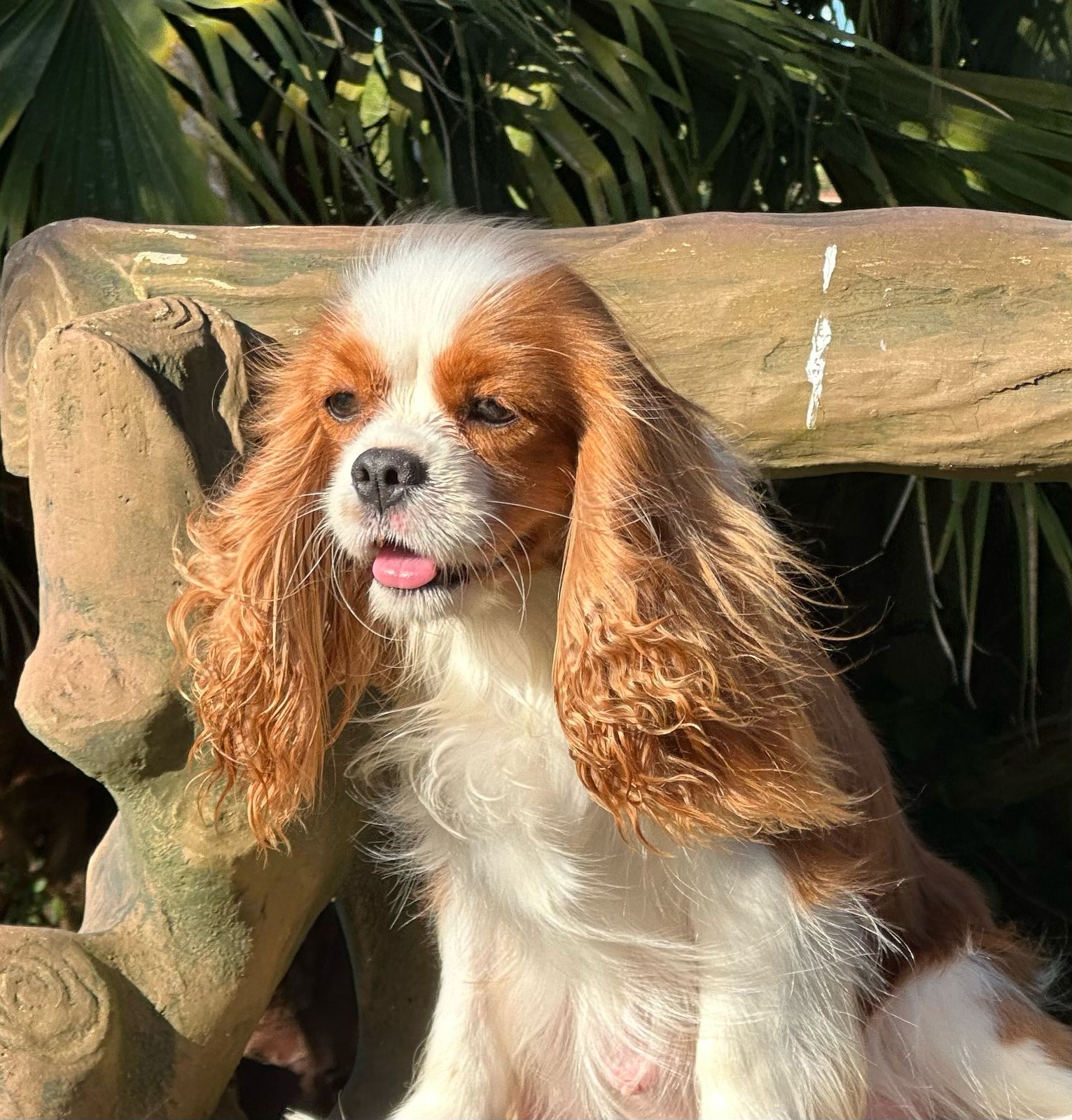 Vivere In Amore Seline