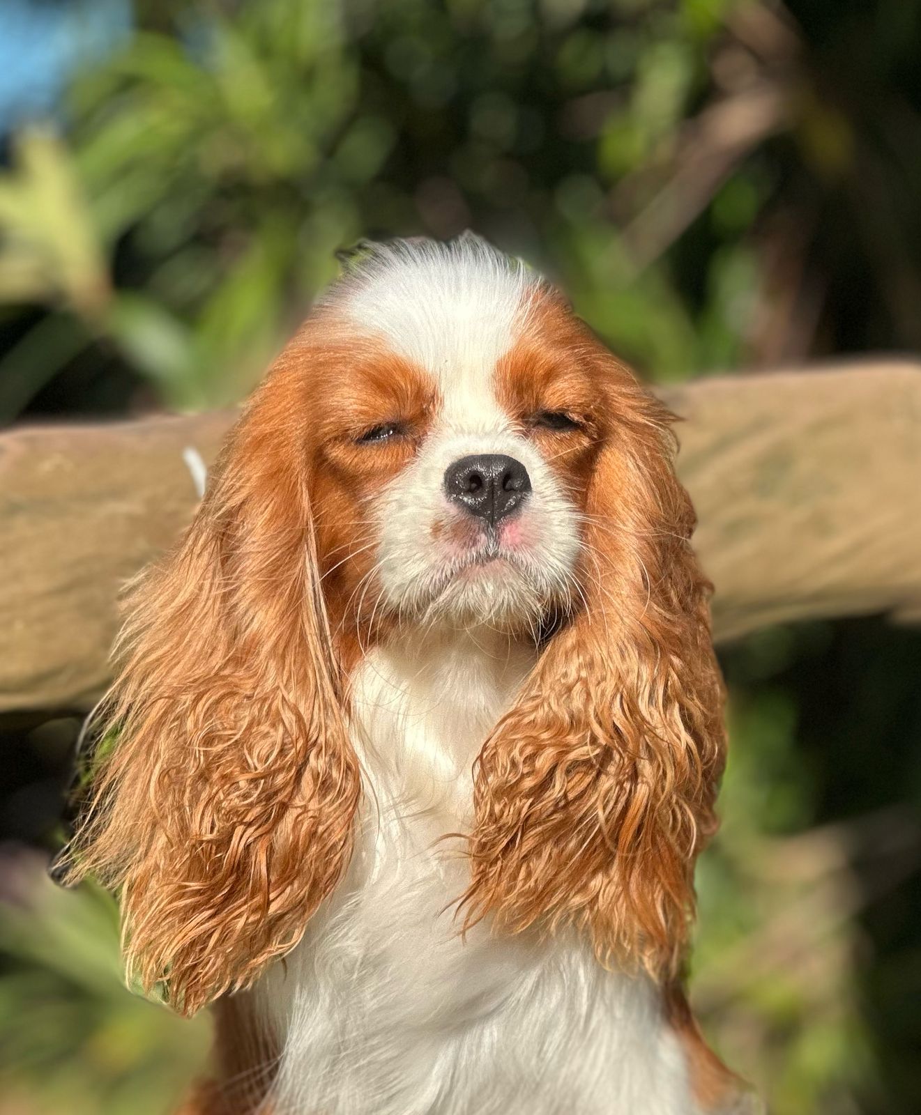 Vivere In Amore Seline