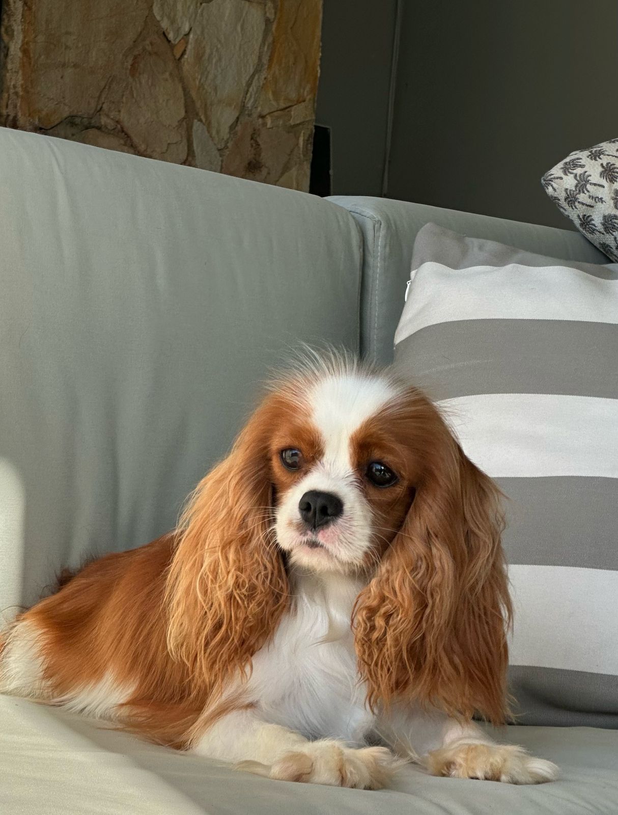 Vivere In Amore Seline