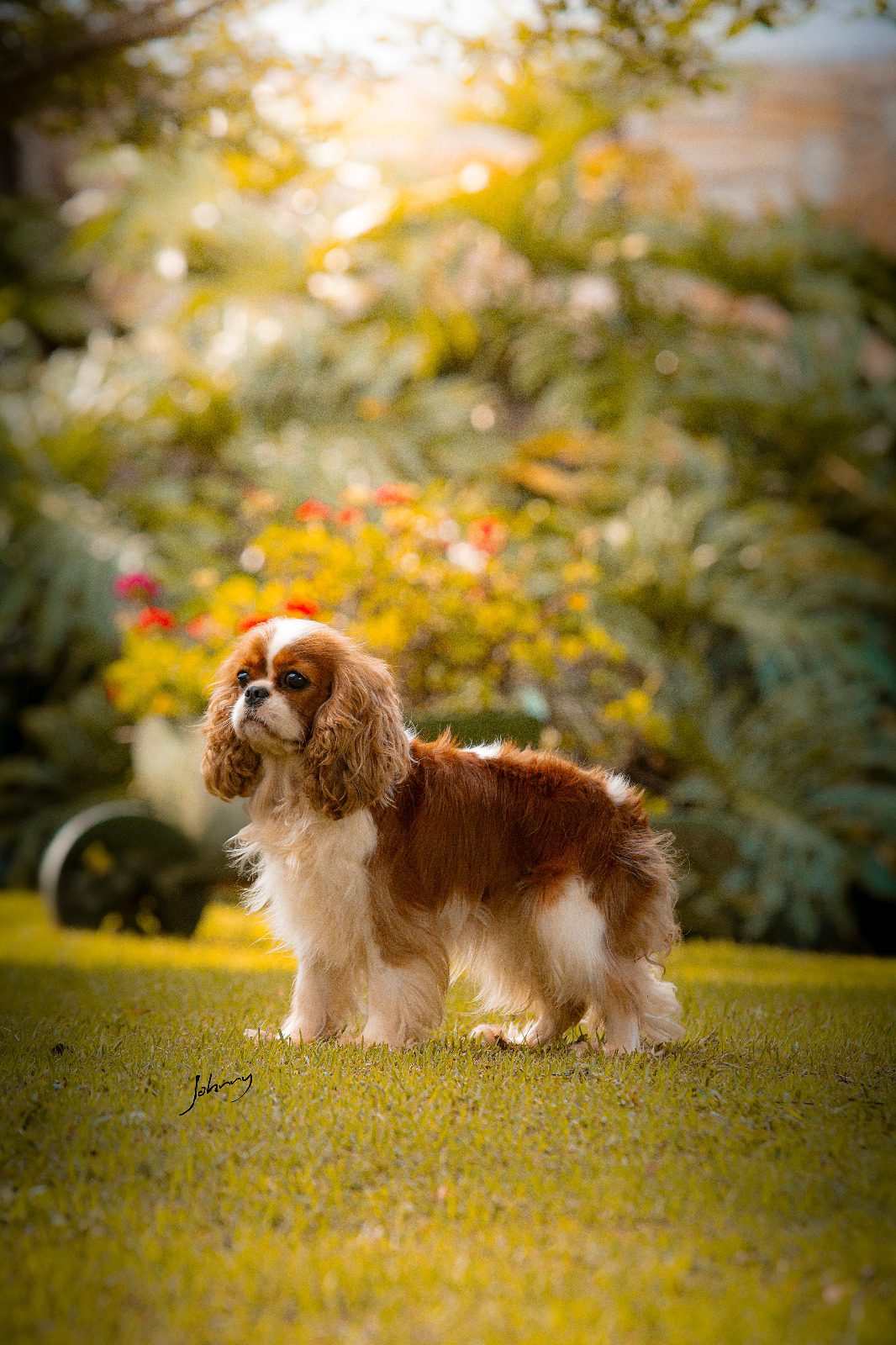 Atena Chateau Jodinis