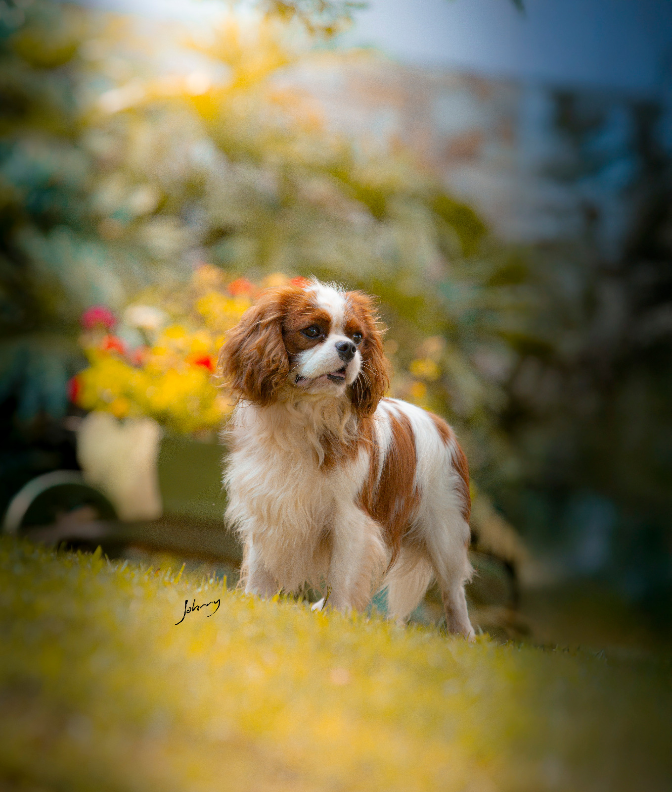 Atena Chateau Jodinis