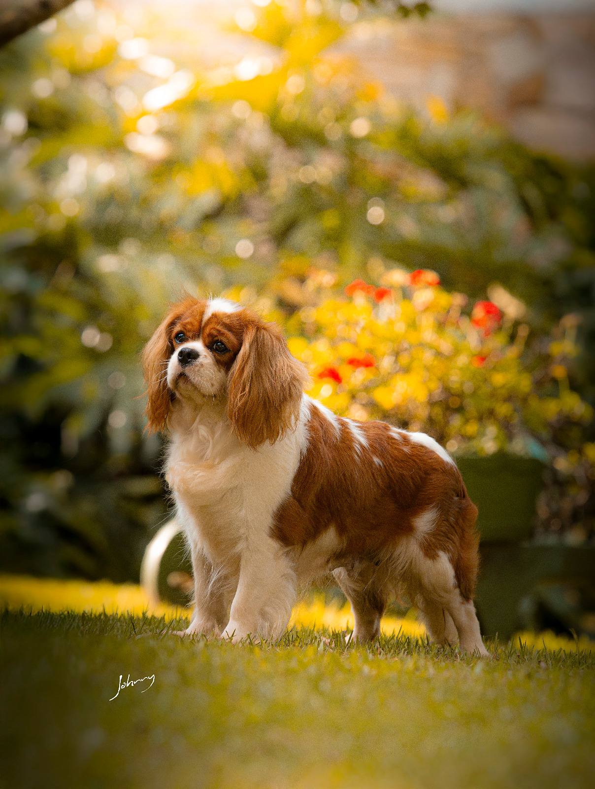 Vivere In Amore Seline