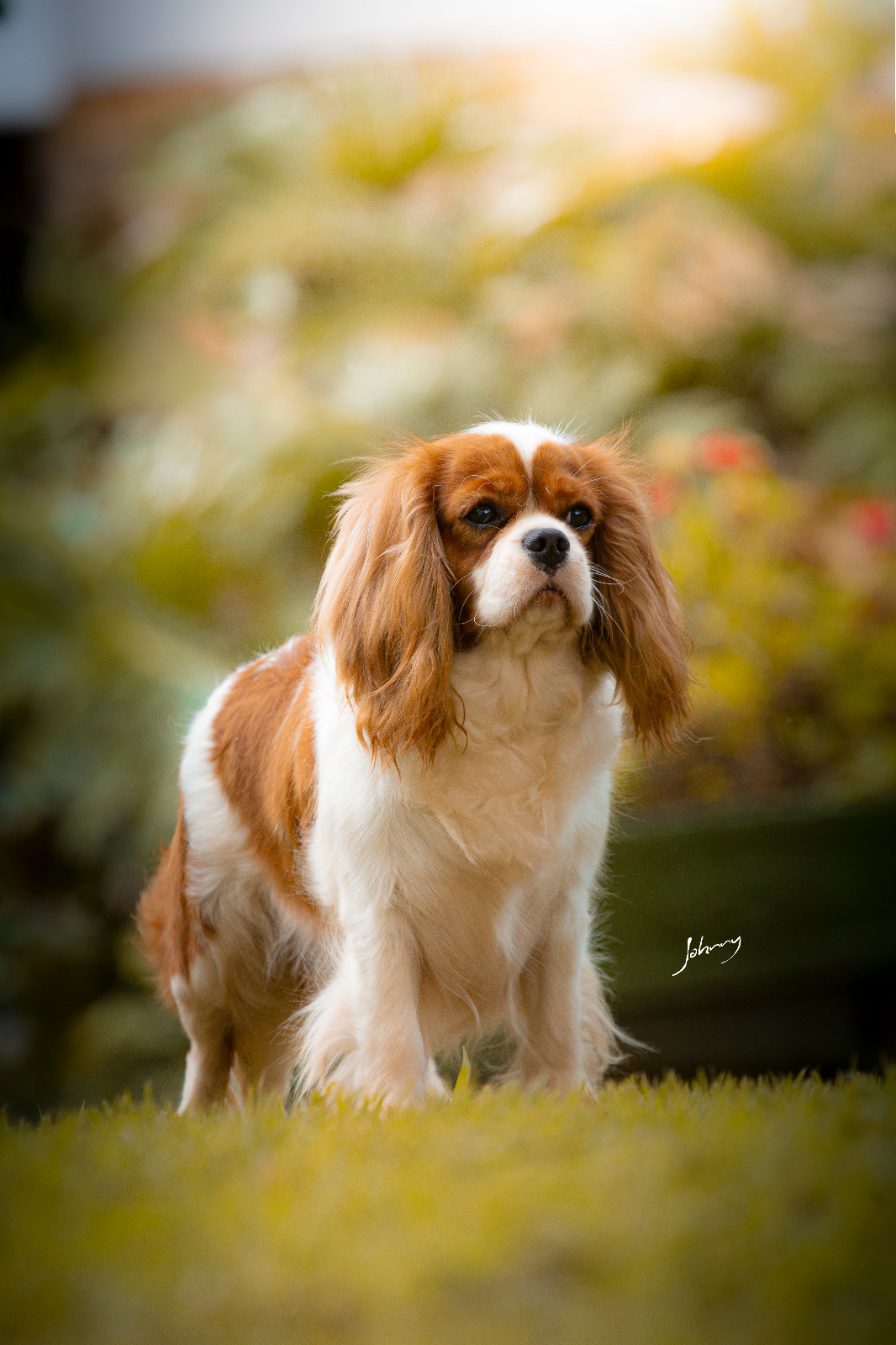 Vivere In Amore Seline